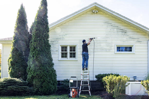 Best Soft Washing  in Pomeroy, WA